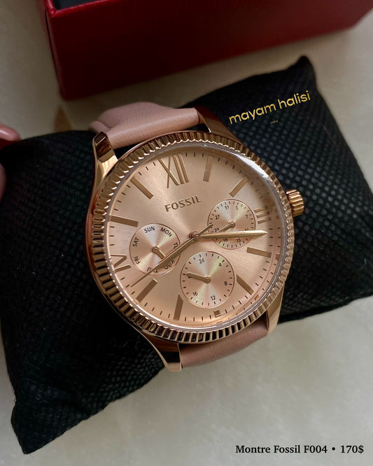 Montre fossil F004