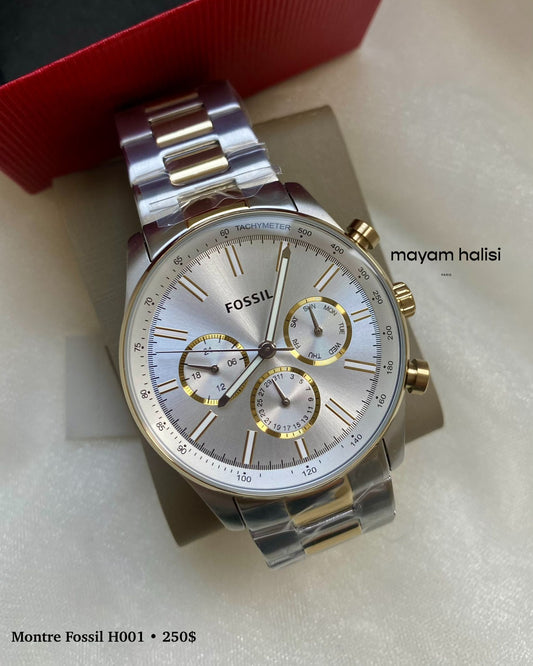 Montre fossil H001