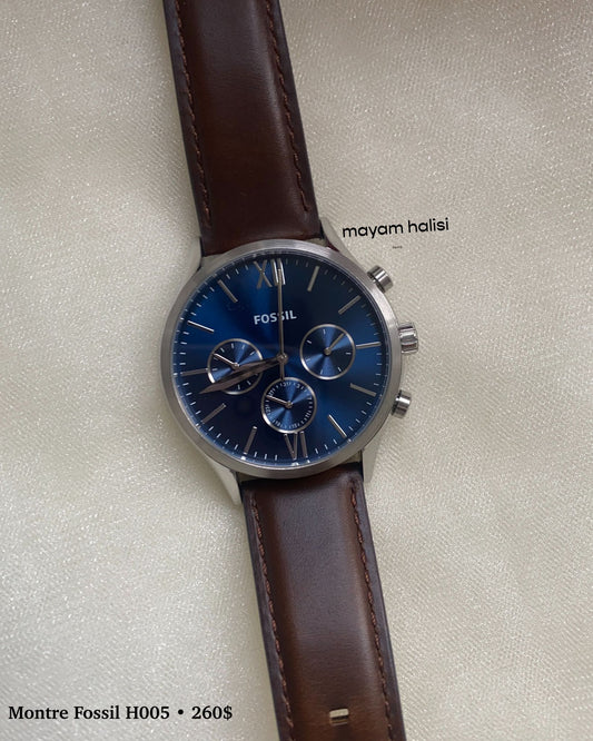 Montre fossil H005