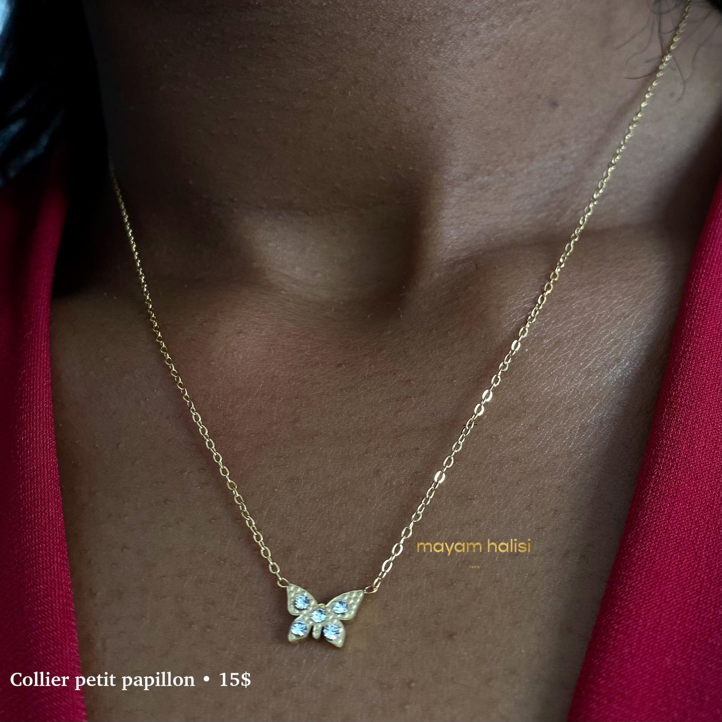 Ensemble petit papillon